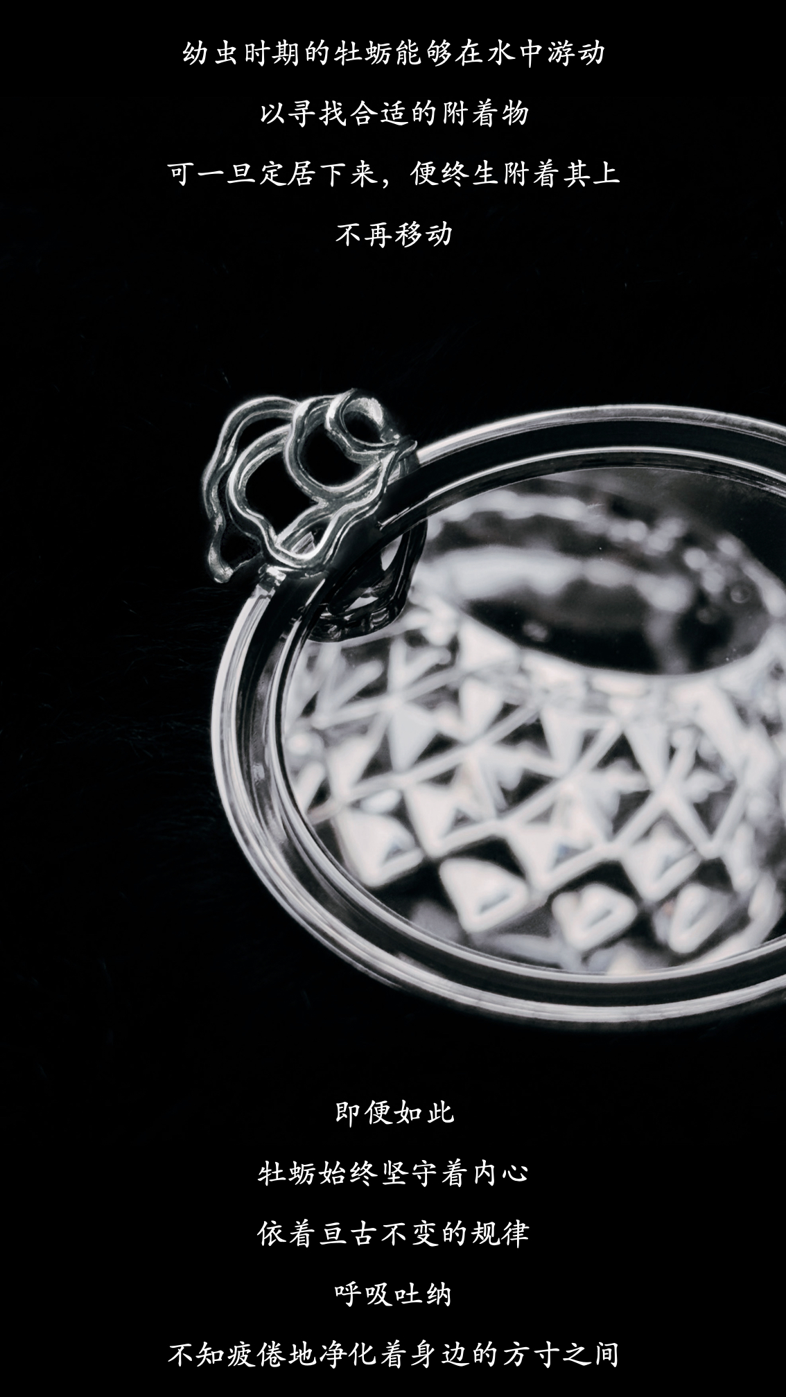 歌唱的牡蛎 会听见彼此